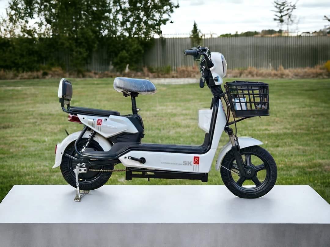 XE ĐIỆN SK8