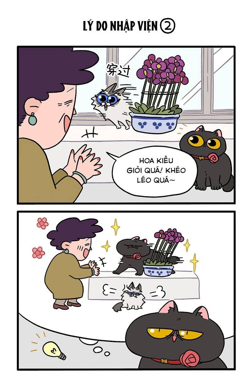 a mãn và mạch trà chapter 16 3