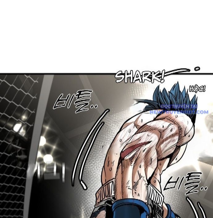 shark - cá mập chapter 341 23
