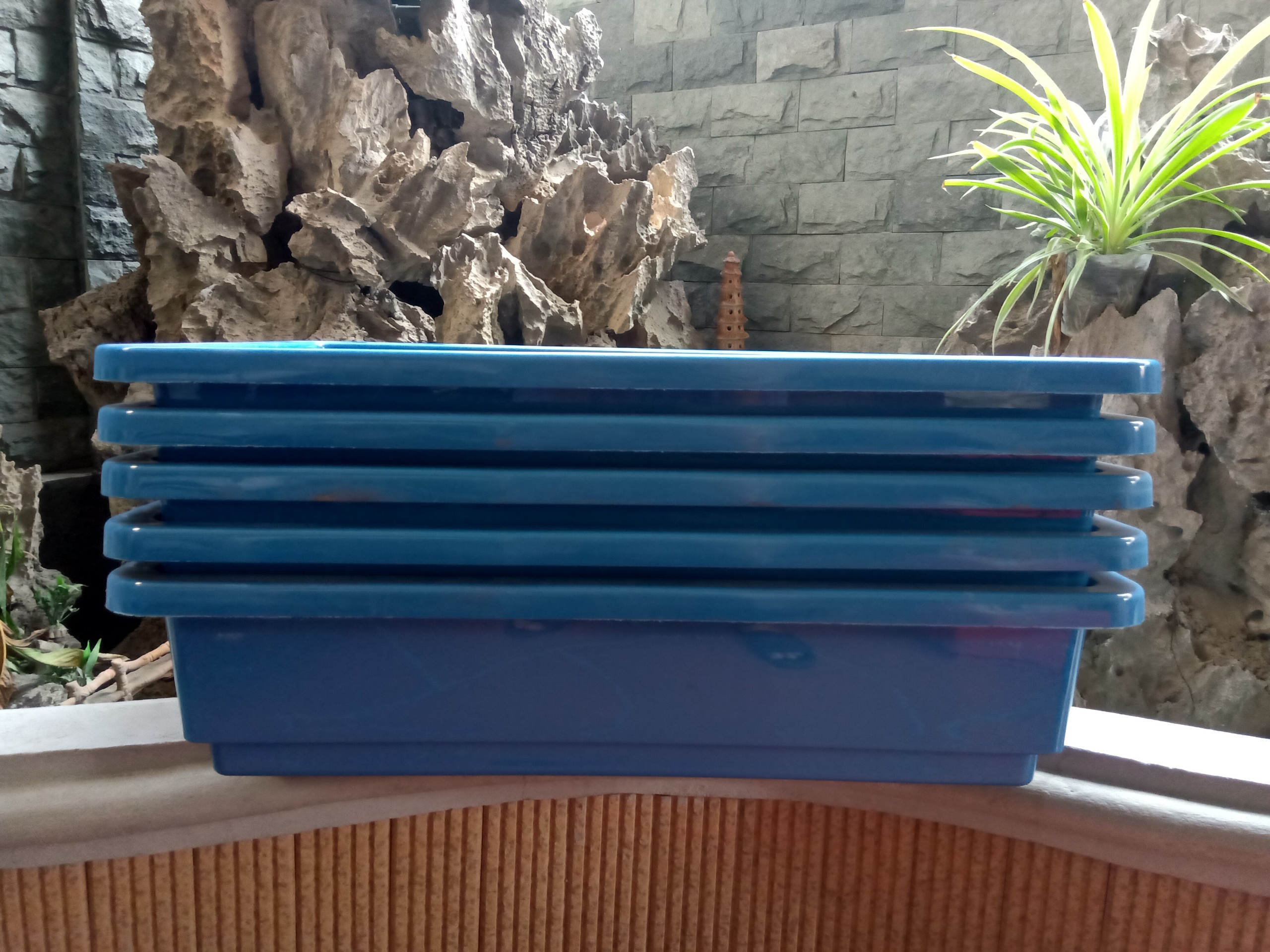 Combo 5 chậu trồng rau thông minh 2 đáy màu xanh 67x43x15 cm