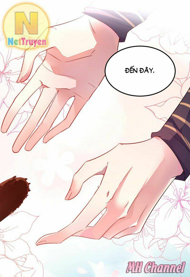 thiên thần gấu trúc muốn được ôm chapter 6 16