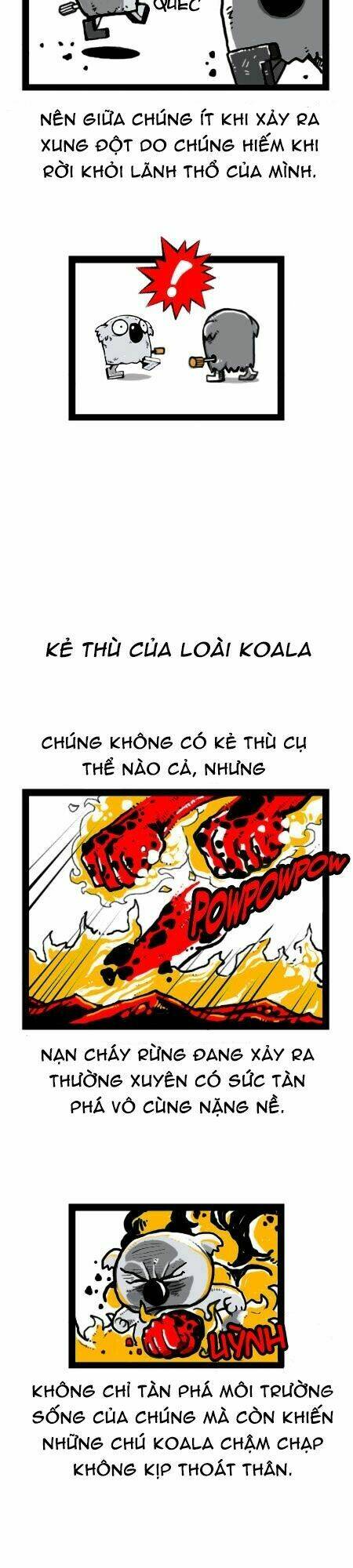 earth, human, and animal chapter 25 12