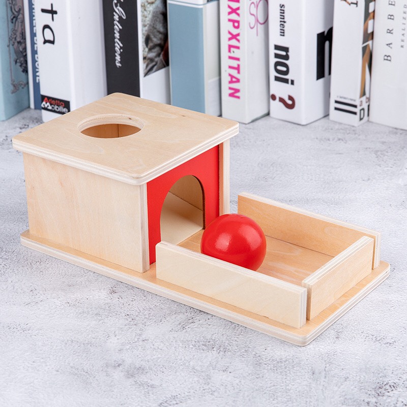 Giáo cụ Montessori cho bé từ 5 6 7 tháng đến 2 tuổi - Thả bóng vào hộp khay