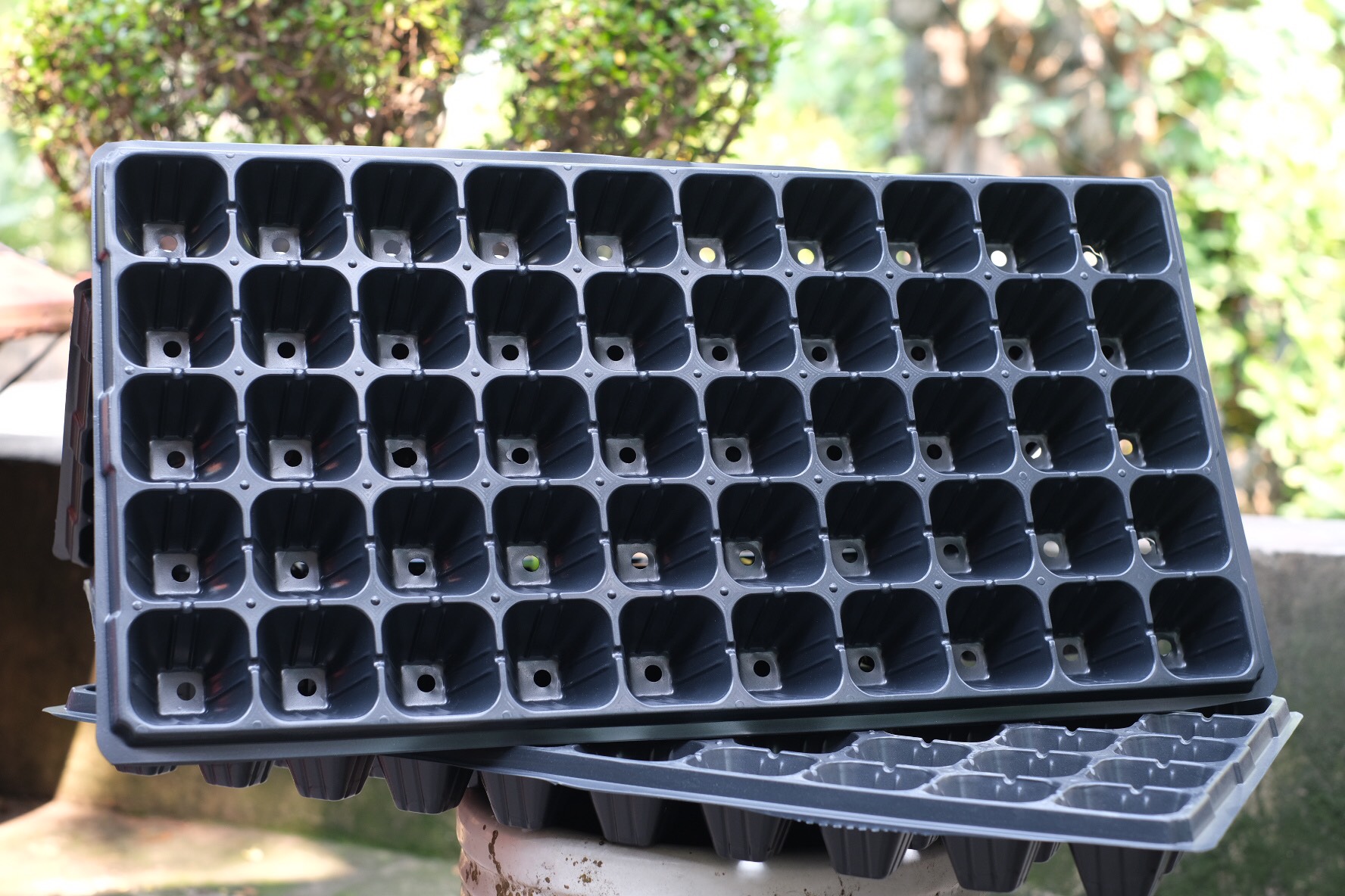 Khay Ươm Hạt Giống Ropot 50 lỗ - Combo 10 cái