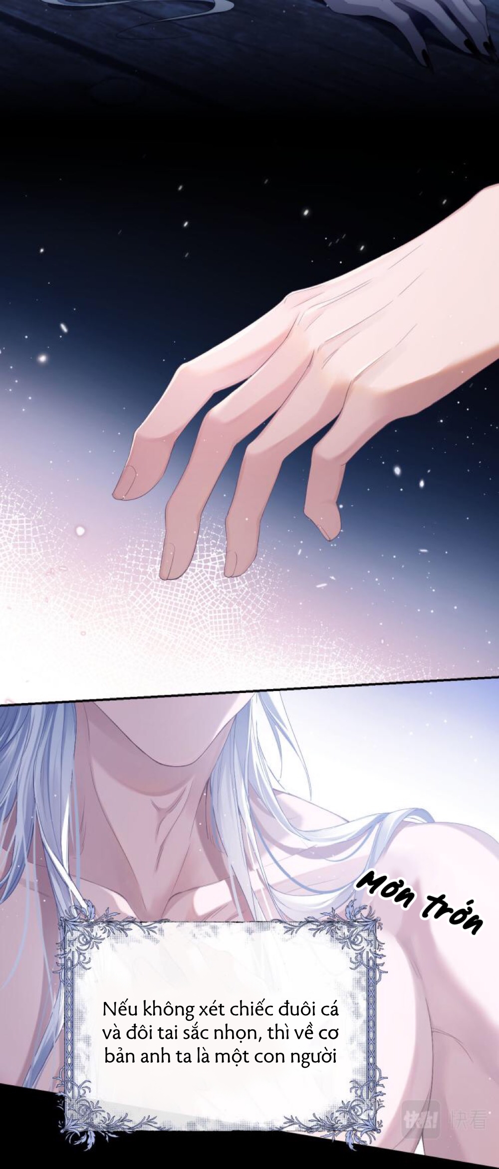 nhân ngư dessaro chapter 1 22