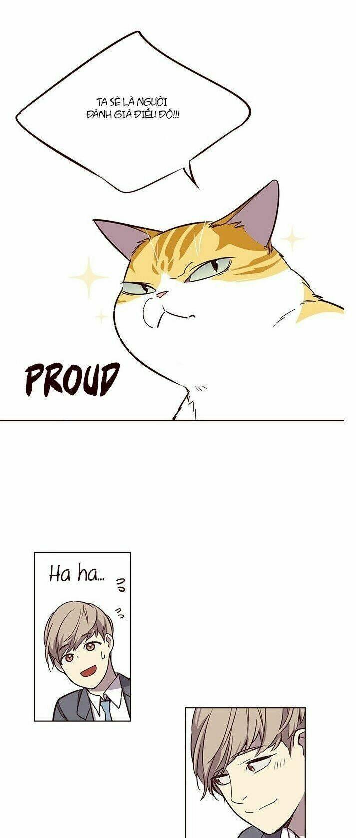 biến thân thành mèo chapter 7 57