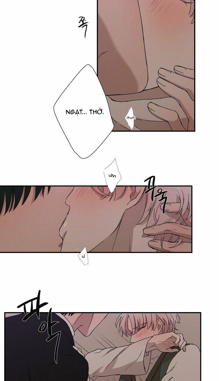 trốn tìm chapter 24 30