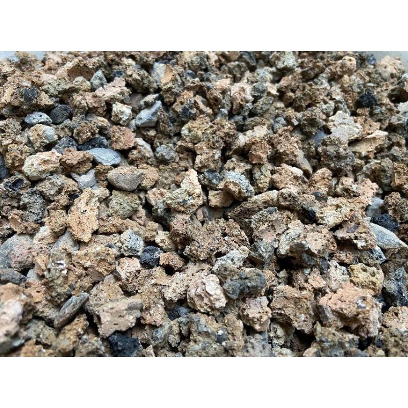 Than hạt cứng ít bị vỡ vụn, dùng lót chậu hoặc trộn đất