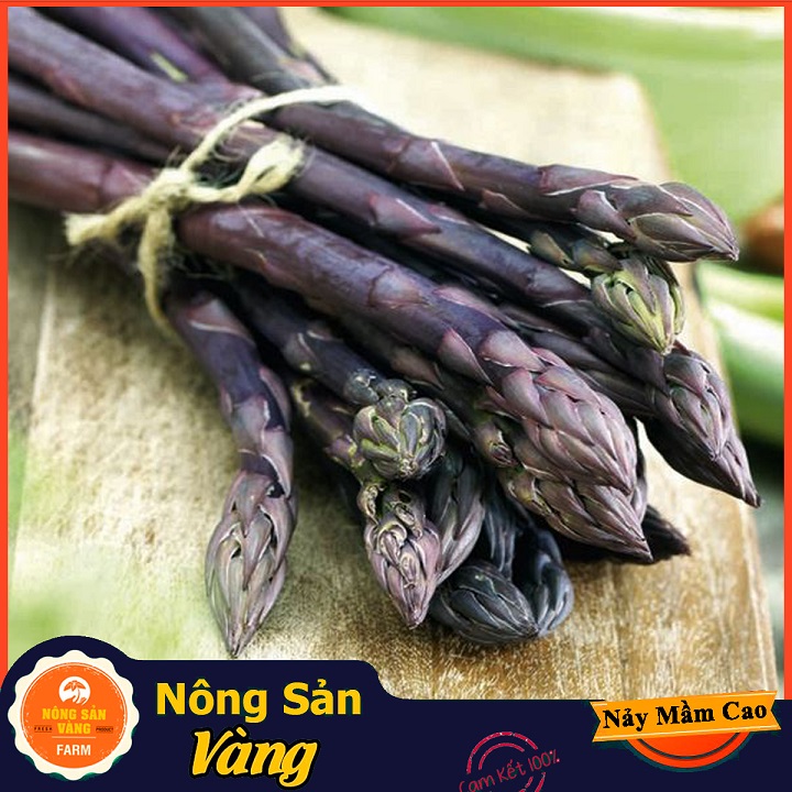 Hạt giống Măng Tây Tím - Nông Sản Vàng