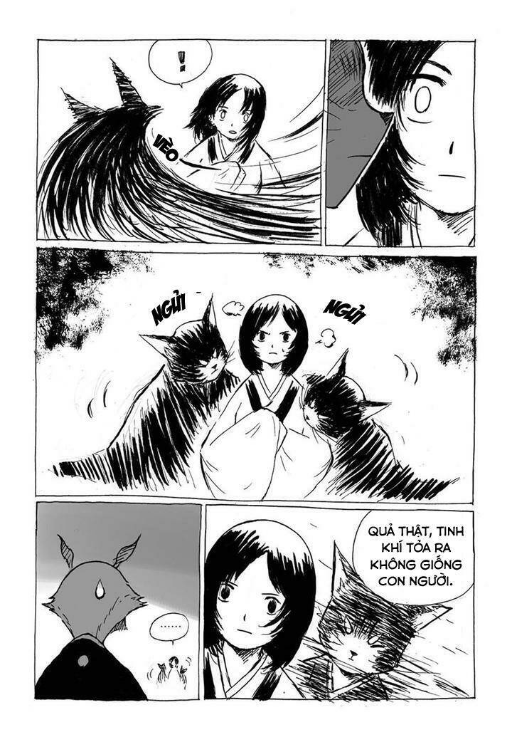 mèo cáo nổi giận chapter 2 4