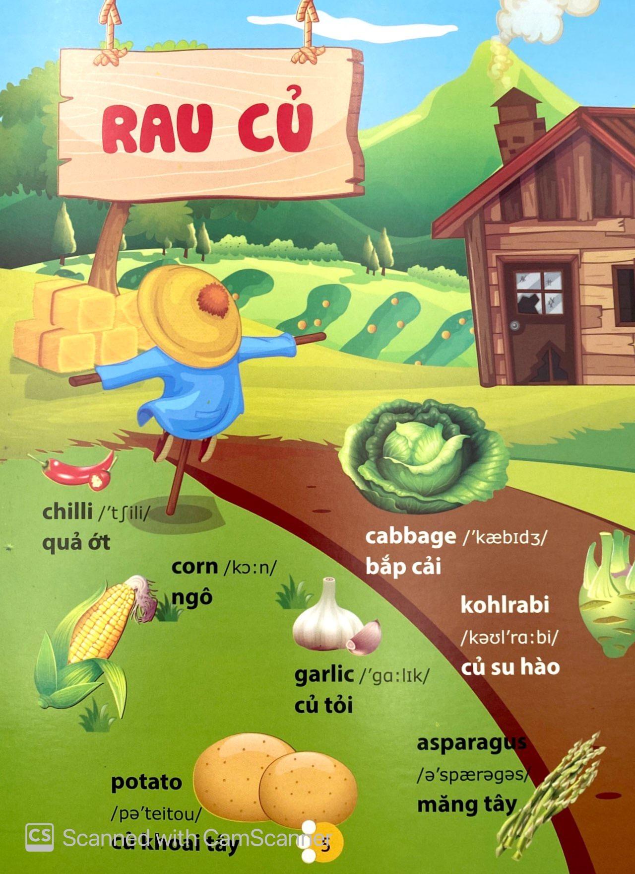 Từ Điển Phát Triển Ngôn Ngữ Bằng Hình Dành Cho Trẻ Mầm Non - Chủ Đề: Phương Tiện Giao Thông + Thành Viên Trong Gia Đình + Trái Cây + Rau Củ