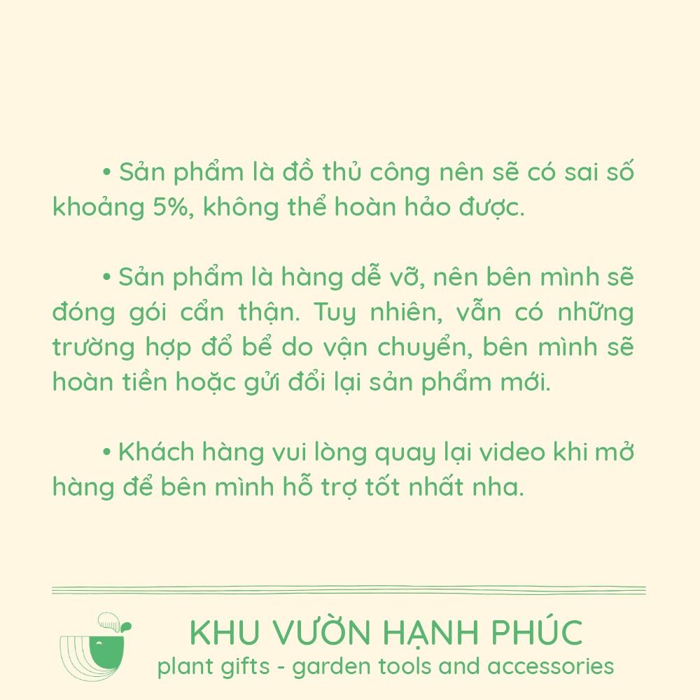 Cây Kim Tiền - Kim Phát Tài, cây để bàn văn phòng, may mắn, tài lộc (cây kèm chậu tráng men)