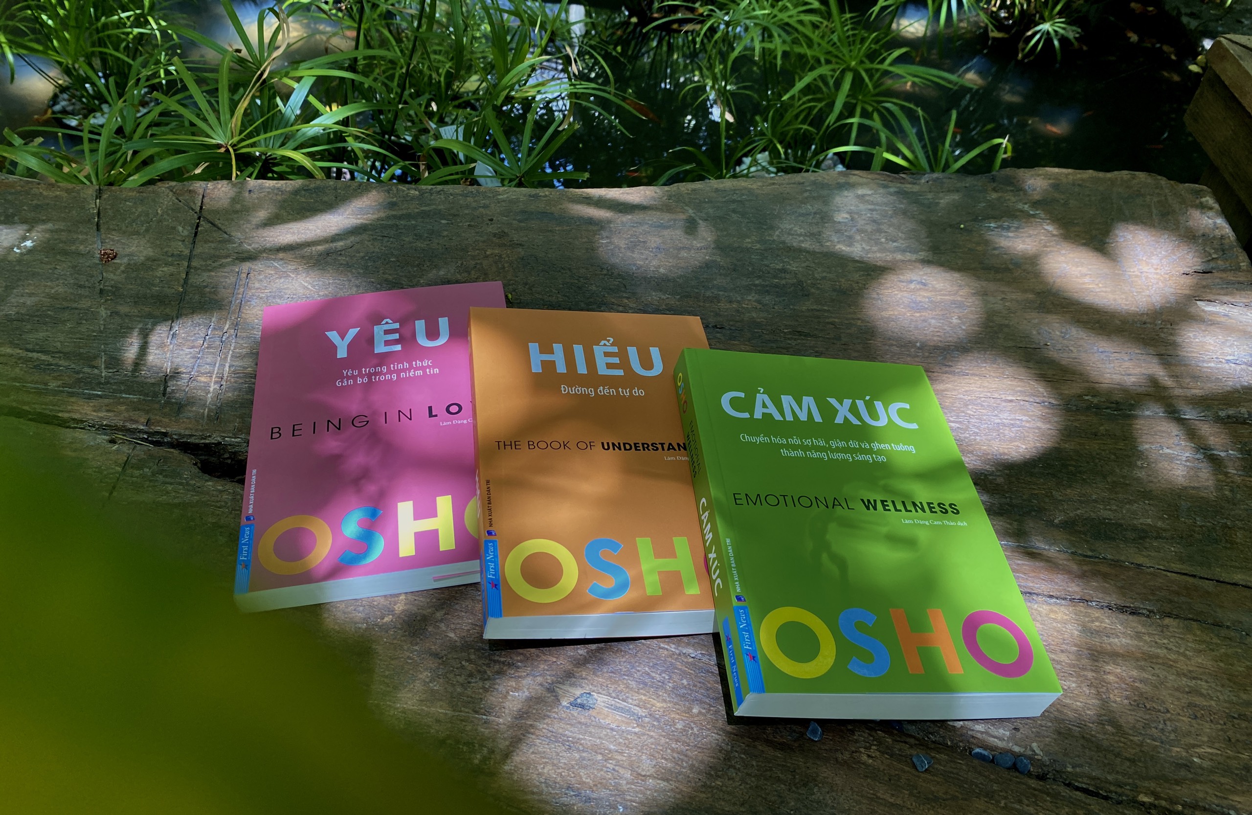 Bộ 11 Quyển Sách Của Osho - First News