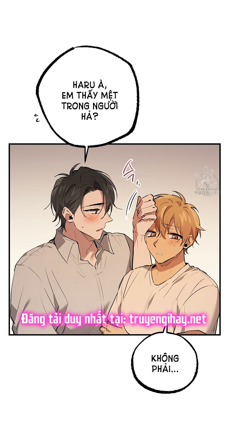 những chú thỏ của hapypy chapter 42 58