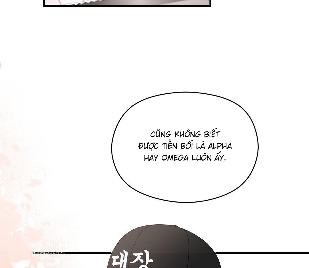 phức cảm tự ti của omega chapter 38 10