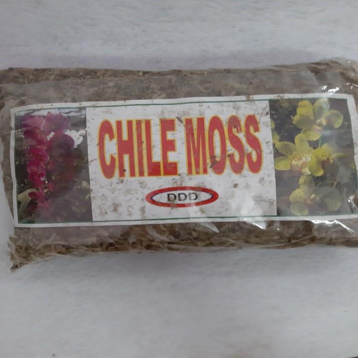 Dớn chile giữ ẩm cho lan - gói 100 gram