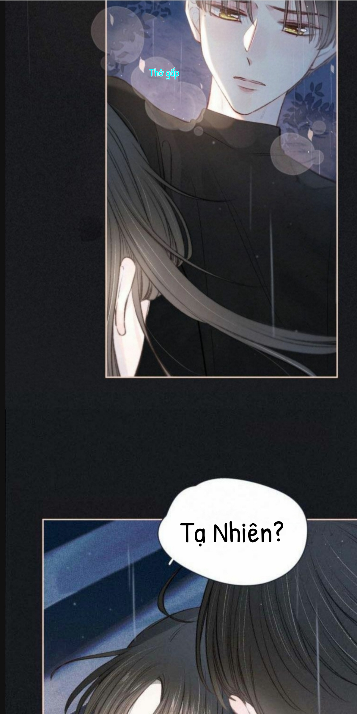 nỗi buồn của hoa cẩm tú cầu chapter 19 4