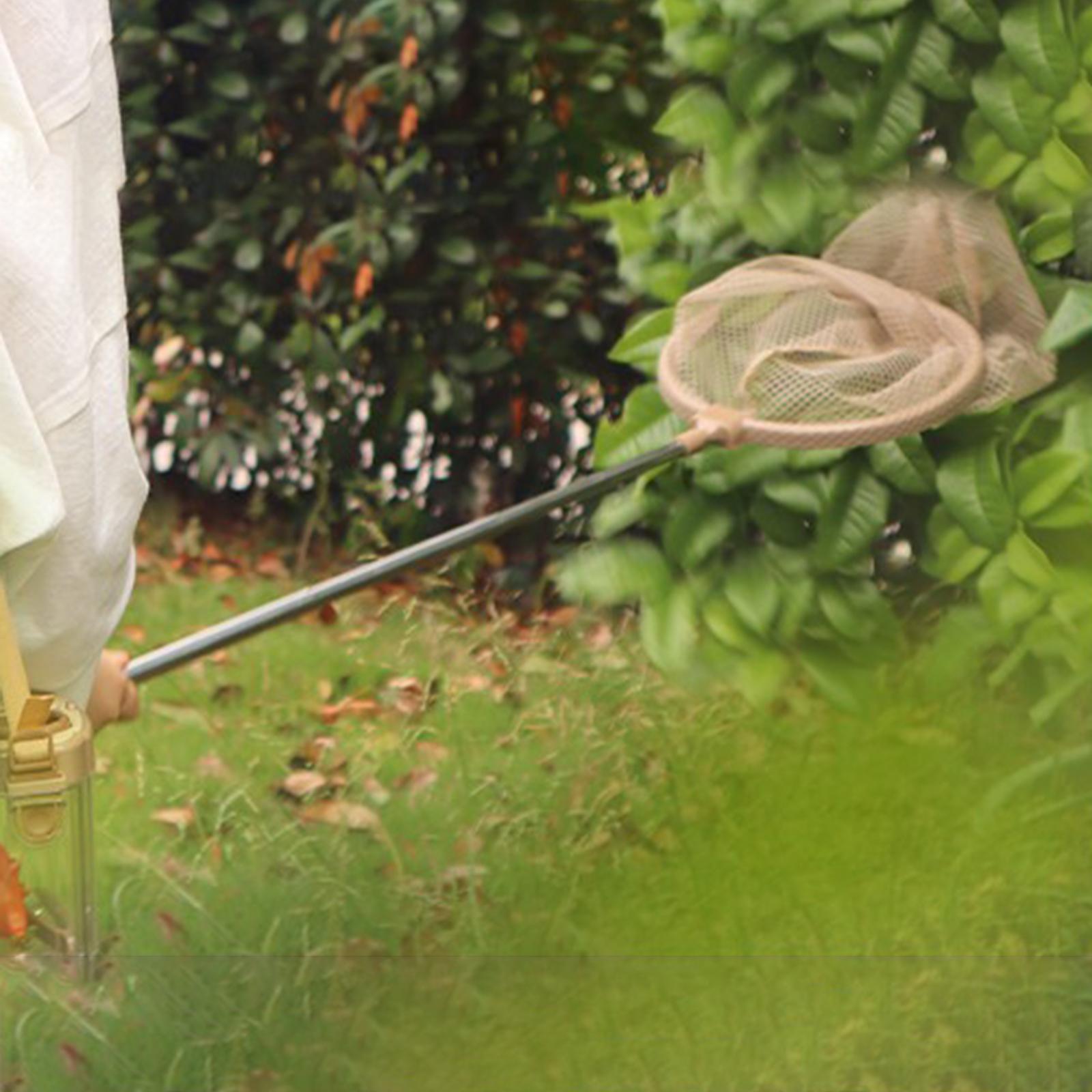 Insectsalescom boxes butterfly catchers jar Butterfly Net