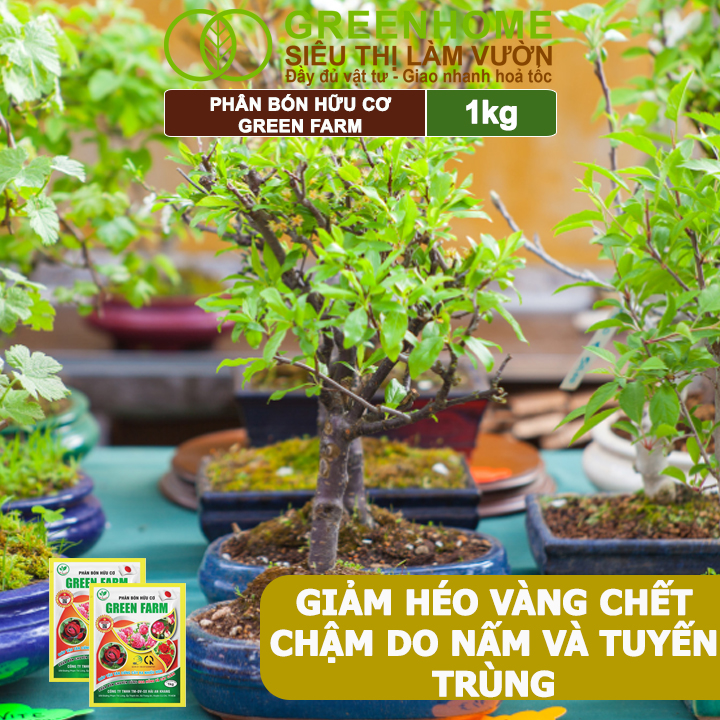 Phân Bón Hữu Cơ Green Farm, GreenHome, Gói 1kg, Chuyên Dùng Cho Cây Cảnh, Hoa Hồng
