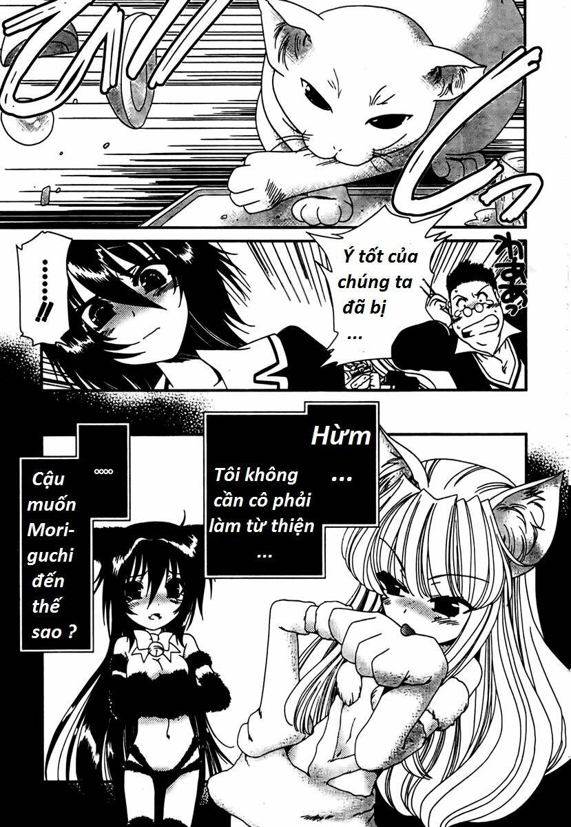 moriguchi orito no teiougaku chapter 10 15