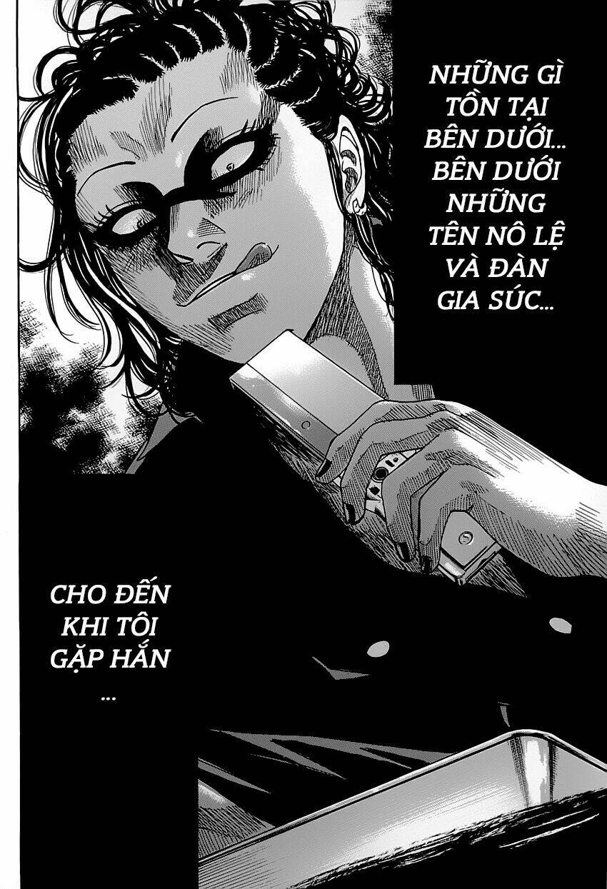 shimauma chapter 1 31