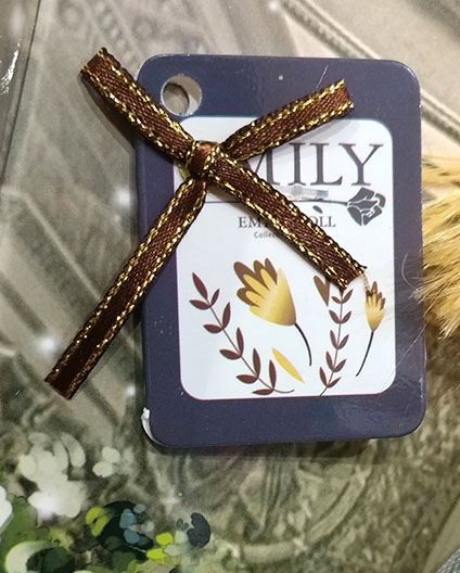 Bộ búp bê thời trang Emily QJ078D