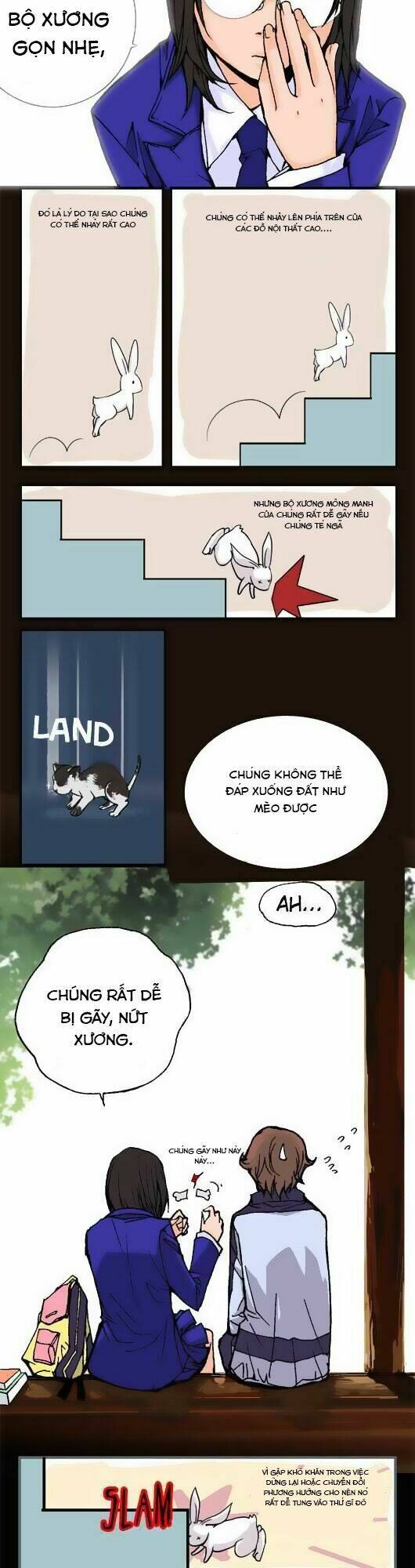 pet diary chapter 13 2