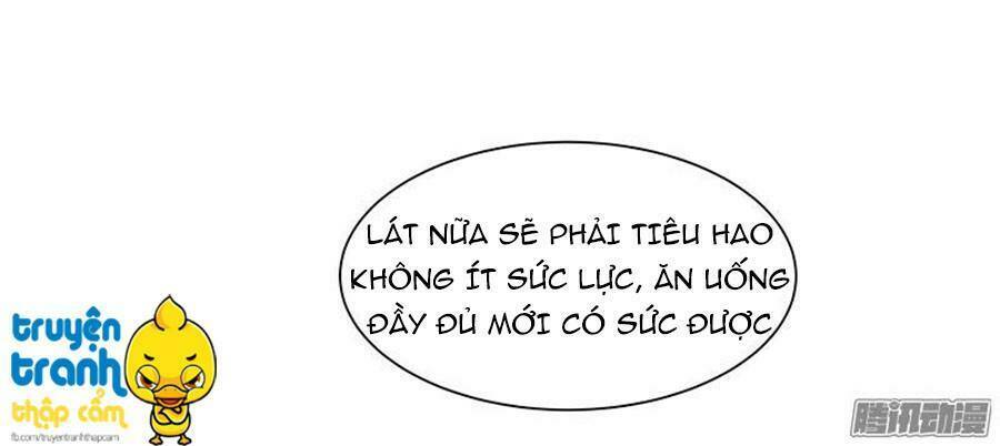 cường sủng hào môn tiểu manh thê chapter 17 28