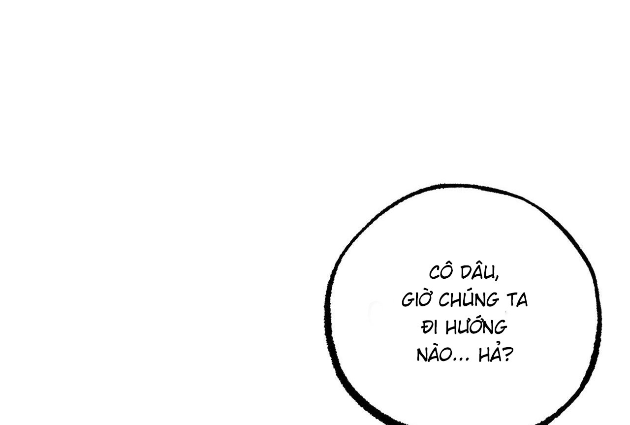 những chú thỏ của hapypy chapter 61 257