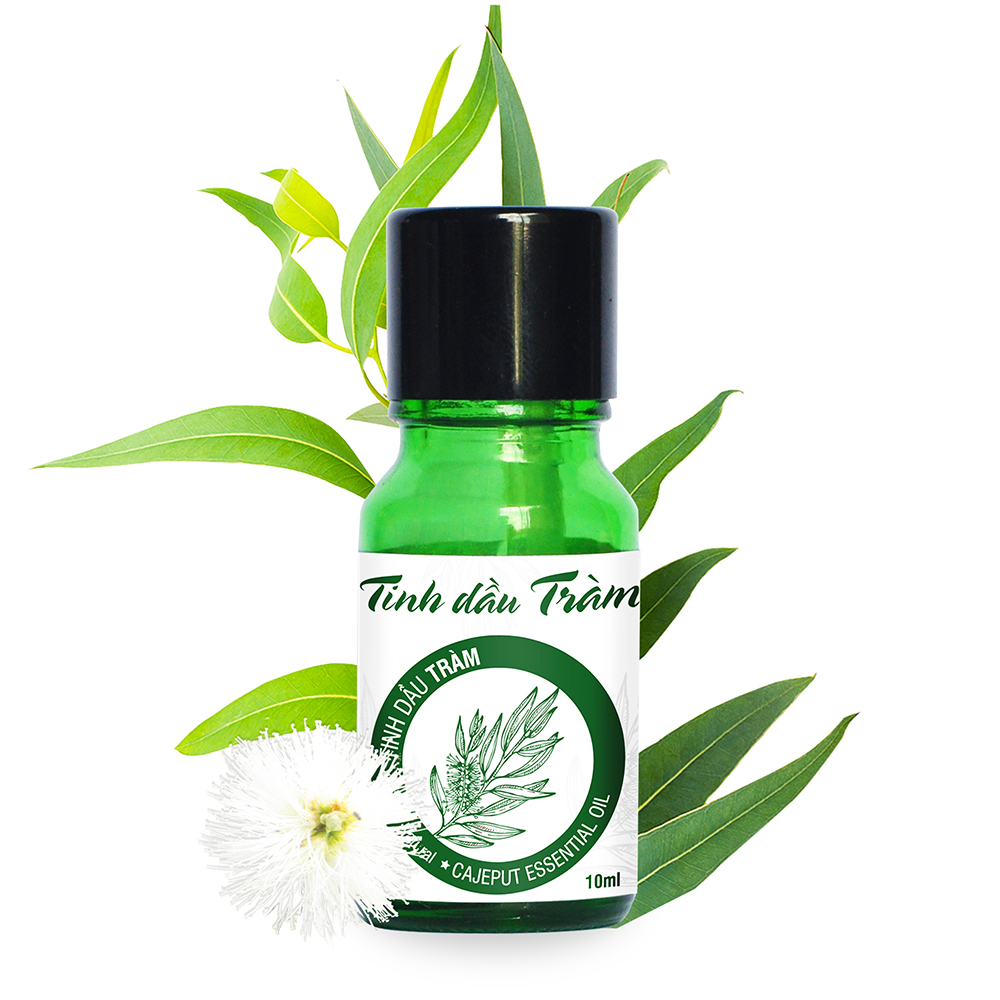 Conbo Đèn Xông Tinh Dầu + Tinh Dầu Tràm Đất Việt 10ml (Giải pháp phòng chống muỗi trong mùa mưa)