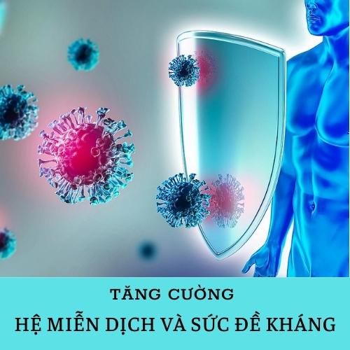 Khóa Học Tăng Cường HỆ MIỄN DỊCH Và SỨC ĐỀ KHÁNG Bằng Y Học Cổ Truyền - Trung Tâm Chăm Sóc Sức Khỏe VMC
