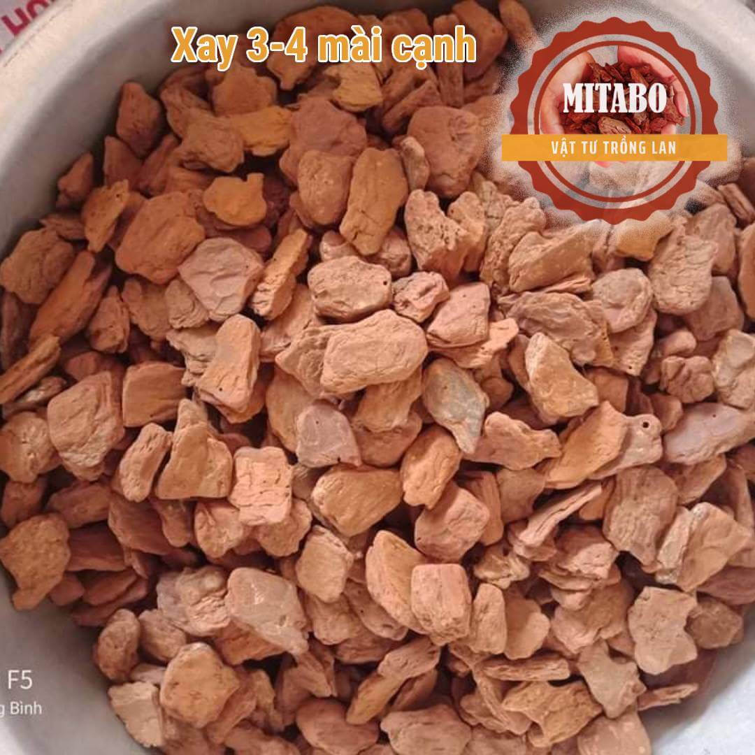 5kg vỏ thông kích thước 3-4cm mài cạnh tròn đẹp