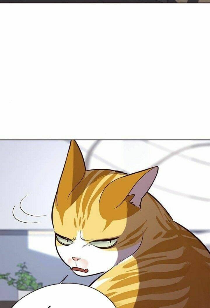 biến thân thành mèo chapter 90 4
