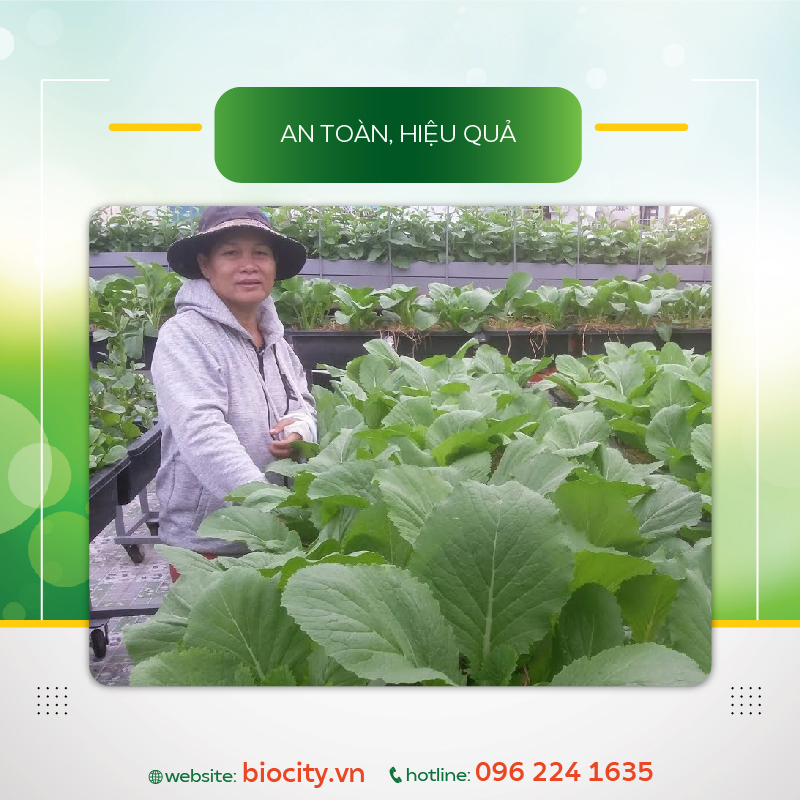 Chế phẩm sinh học trừ các loại sâu, rầy và côn trùng gây hại trên ruộng- Bt Plus 500g