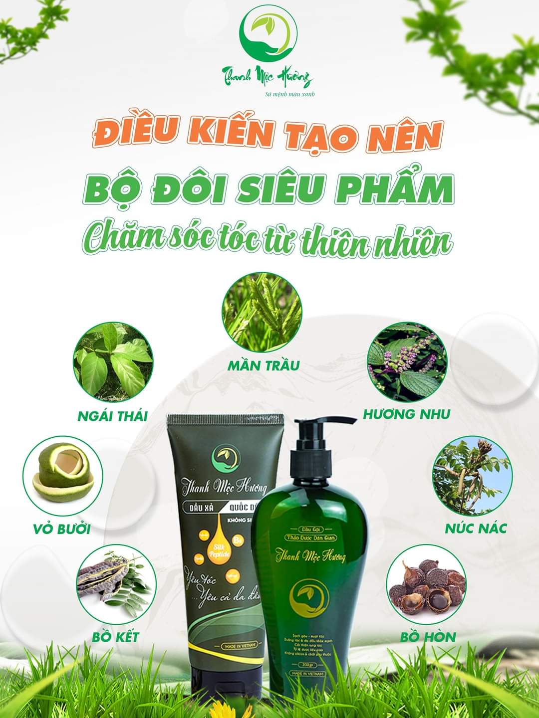 Dầu gội thảo dược Thanh Mộc Hương sạch gàu suôn mượt kết hơp Serum kích mọc tóc 350ml