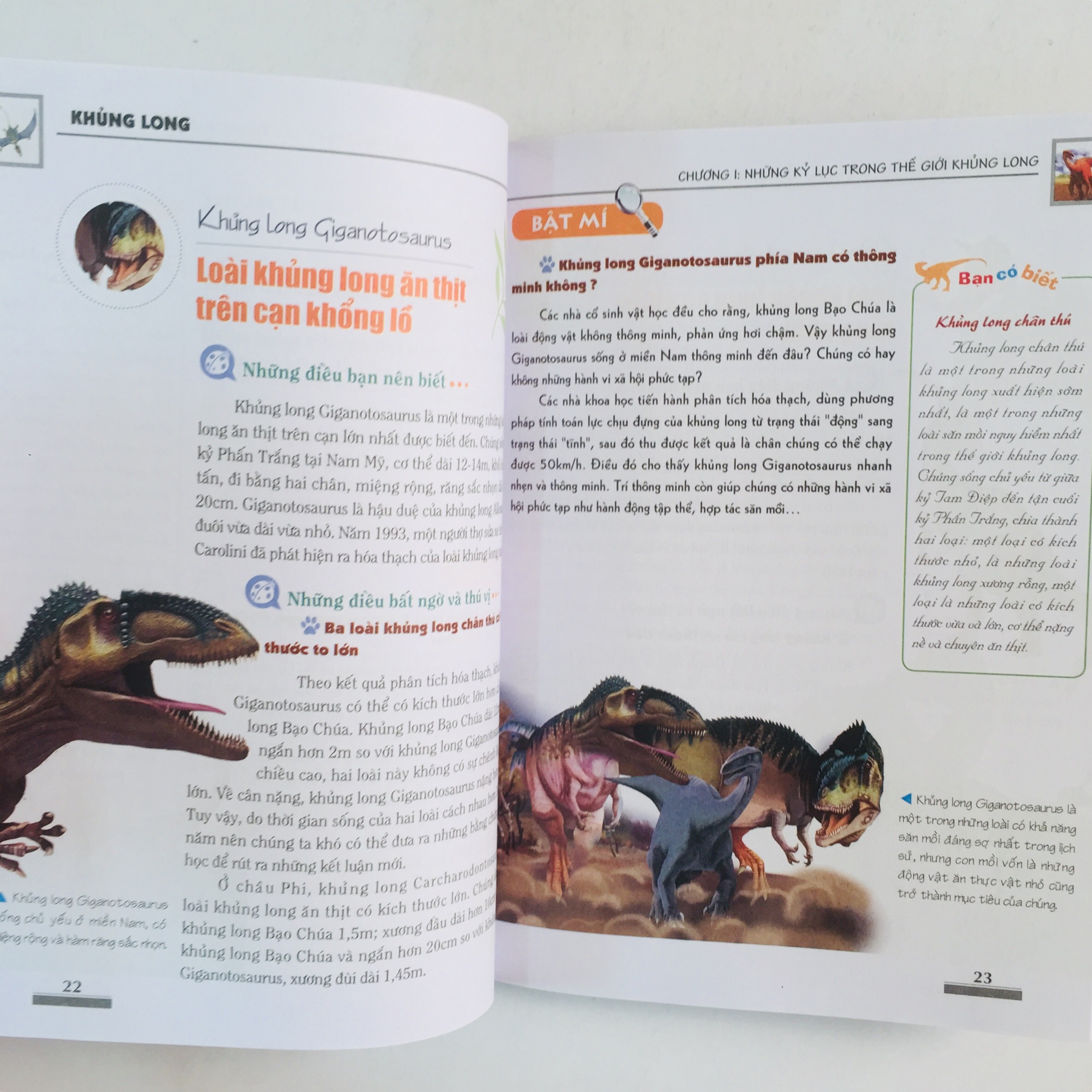 Khám Phá Bí Ẩn Thế Giới Tự Nhiên Dành Cho Học Sinh – Boxset 5 cuốn