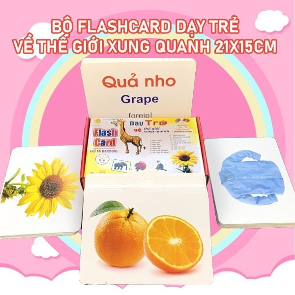 Bộ 100 Thẻ Học Thông Minh Loại To Song Ngữ Theo Phương Pháp Giáo Dục Sớm Glenn Doman Flashcard Anh-Việt Cho Bé Từ 0-6 Tuổi Giúp Trẻ Phát Triển Trí Tuệ