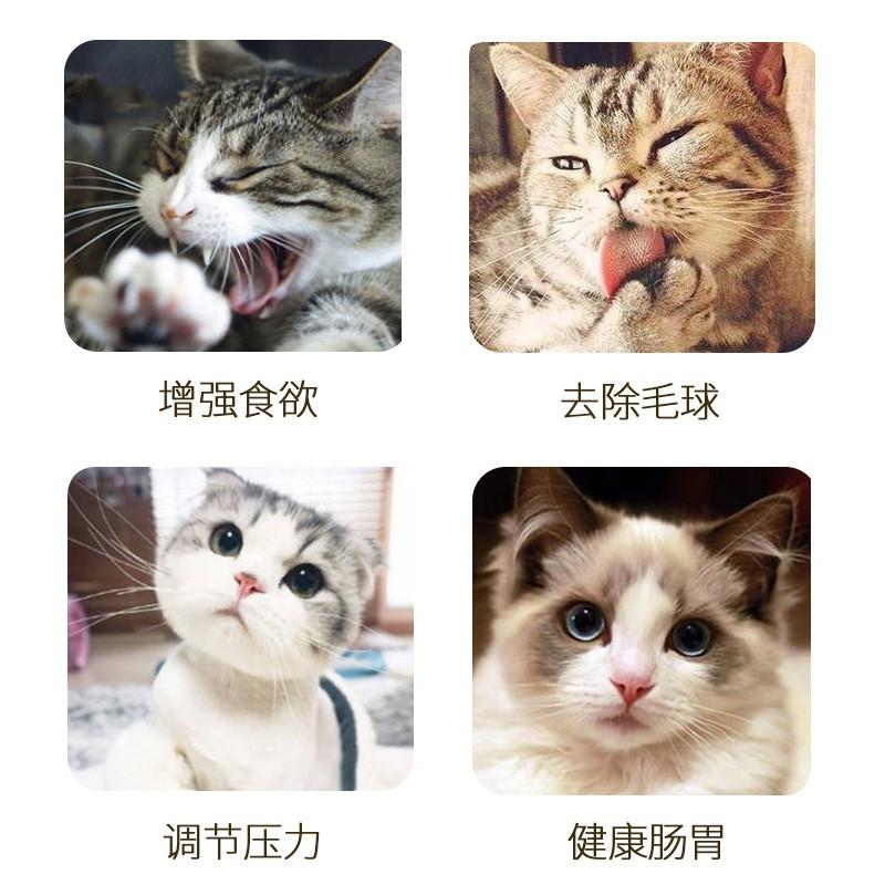 CATNIP Cỏ Bạc hà cho mèo 50ml