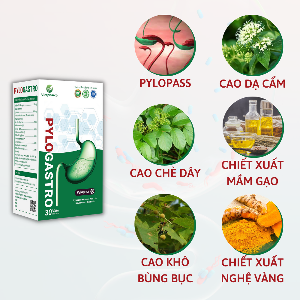 Pylogastro - Đào thải HP, bảo vệ dạ dày