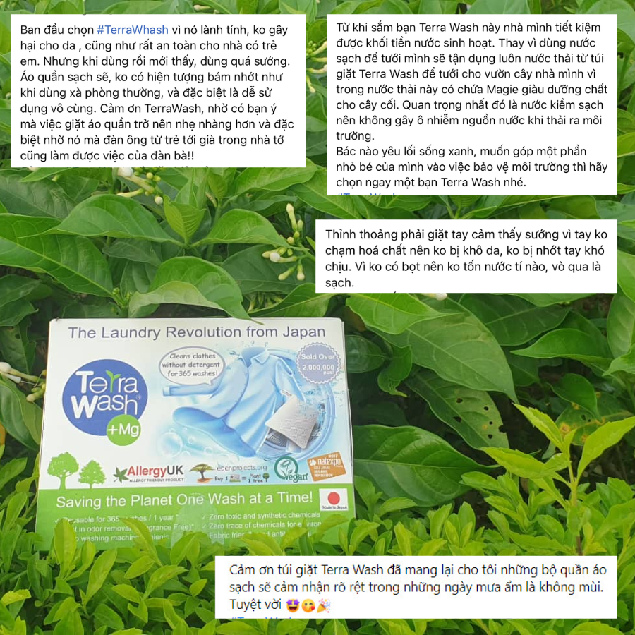 Combo Túi Giặt Terra Wash Mg Và Túi Vải Canvas Trắng.
