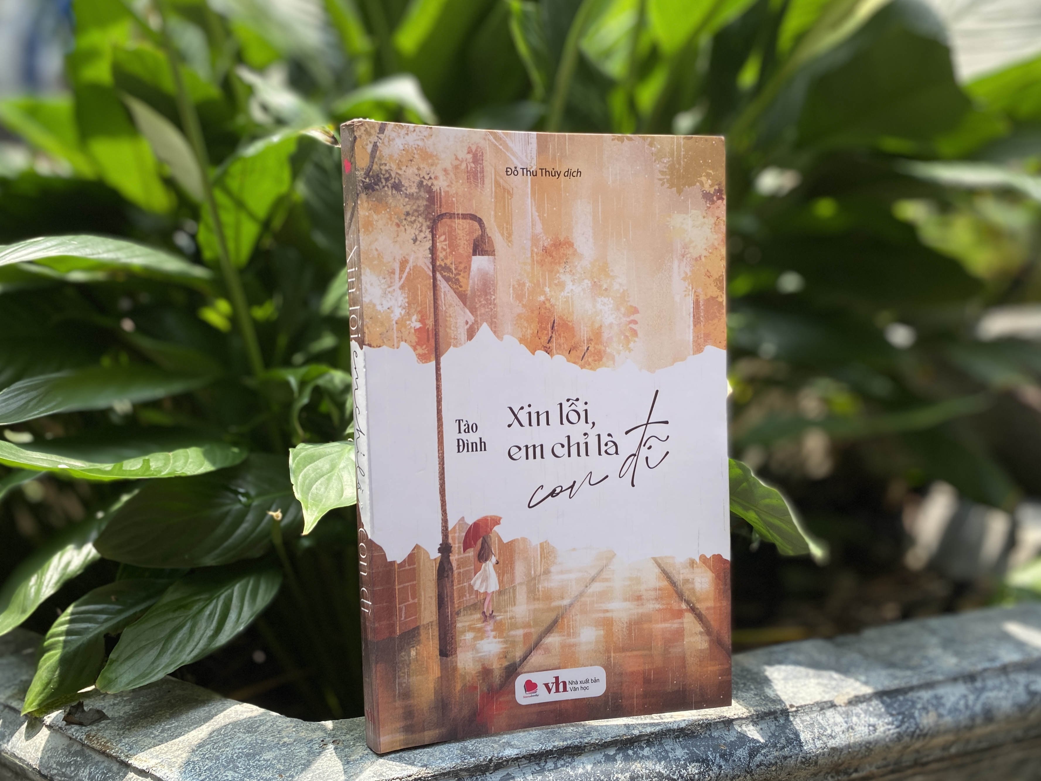Sách - Xin lỗi em chỉ là CD - Tào Đình (tái bản 2024) - Bách việt