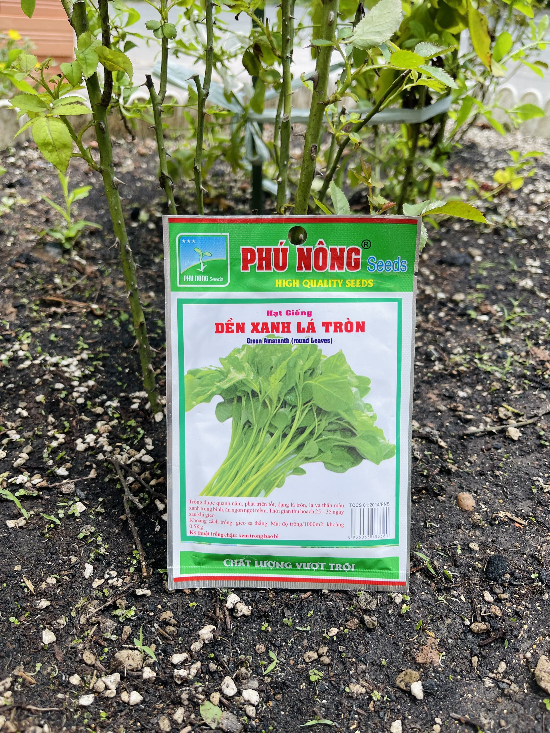 Hạt dền xanh lá tròn Phú Nông 20 gram - giống nẩy mầm cao chất lượng