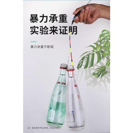 Hộp 3 quả phao điện câu đêm y hình