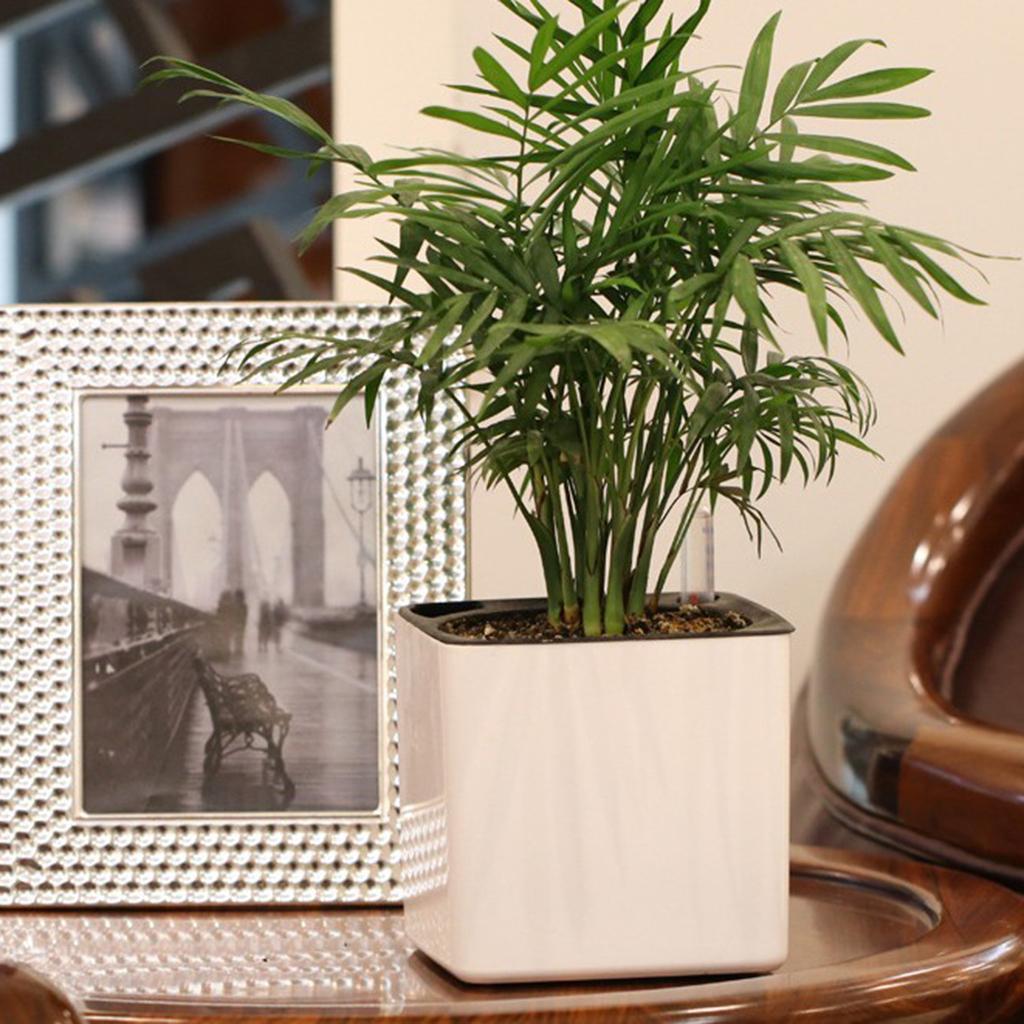2Pcs Self Watering Pot Planter w/ Water Level Indicator White M