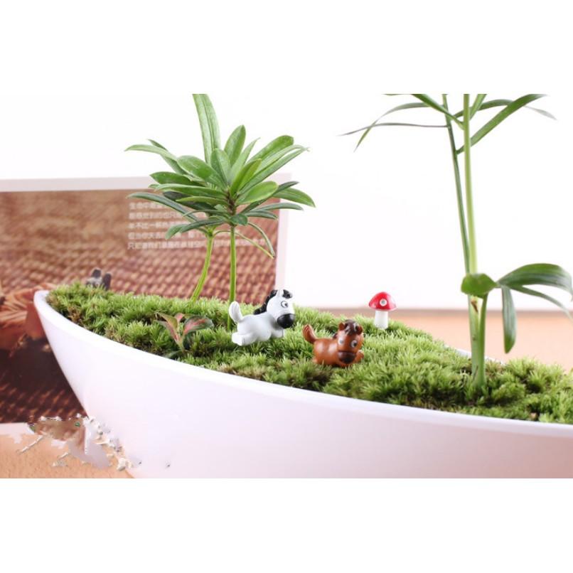 Combo 02 mô hình ngựa cỡ nhỏ dùng trang trí tiểu cảnh, terrarium, DIY