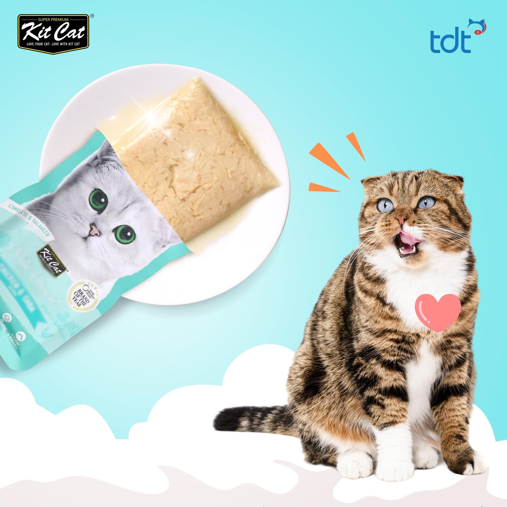Pate cho mèo mọi lứa tuổi Kit Cat Petite Pouch 100% Holistic Wet Cat Food không chứa ngũ cốc