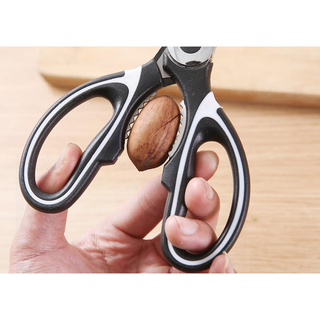 Kéo Cắt Gà Thép Không Gỉ 304