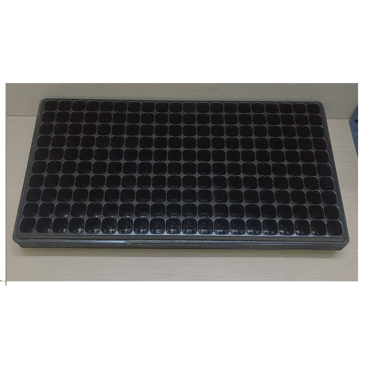 10 Khay Nhựa PVC 200 Lỗ Ươm Cây Tiện Lợi, Dễ Sử Dụng, Tích Kiệm Diện Tích - Khay nhựa ươm cây 200 lỗ!