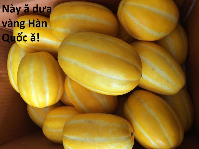 sự lụi tàn của usuzumi chapter 108 87