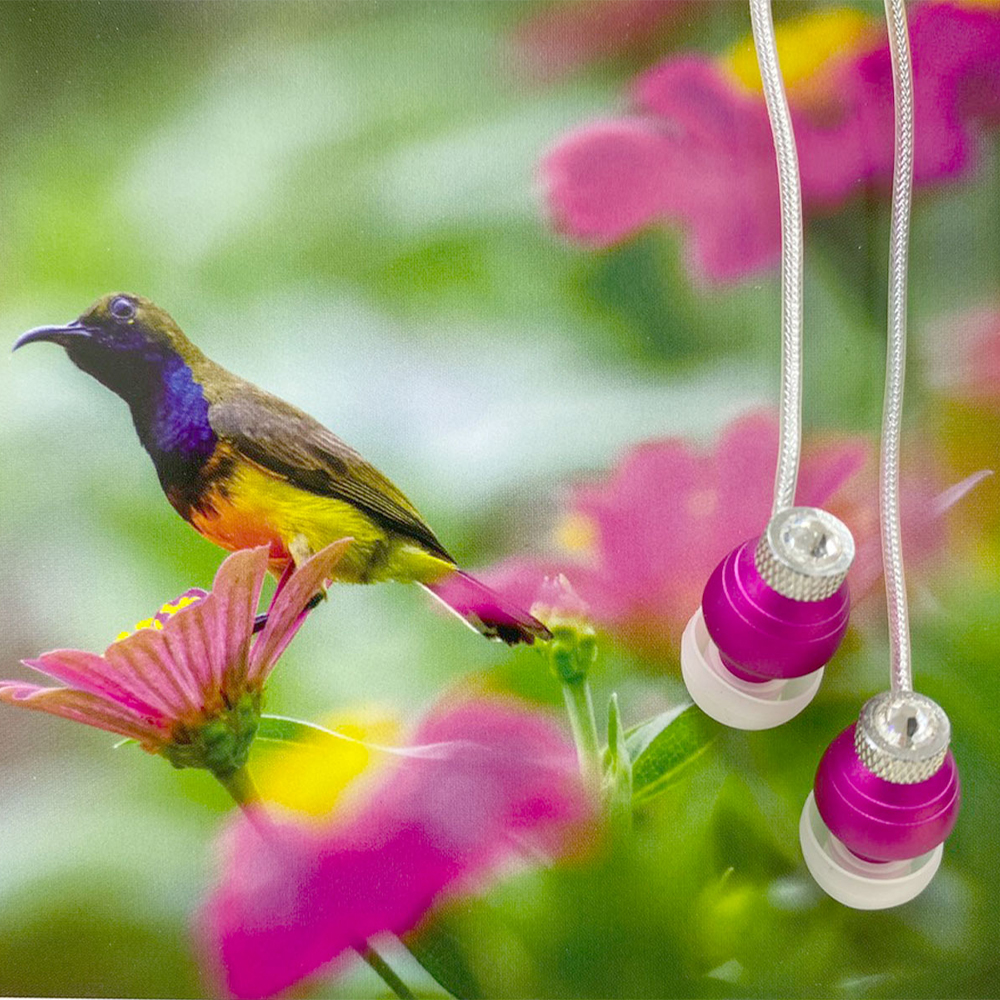 Tai nghe nhét tai SoundMax AH-704, âm thanh trong trẻo, sống động | In-ear headphones SoundMax AH704, clear and vibrant sound - Hàng Chính Hãng